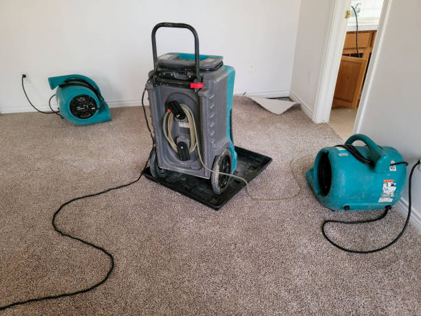  Solana, FL Water damage restoration Pros